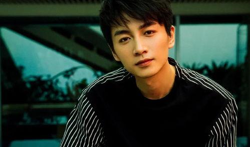 娱乐圈吃瓜情报局陈晓,娱乐圈吃瓜情报局揭秘，明星背后的故事