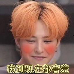 权志龙太阳表情包,潮流风向标，笑点满满的网络文化现象